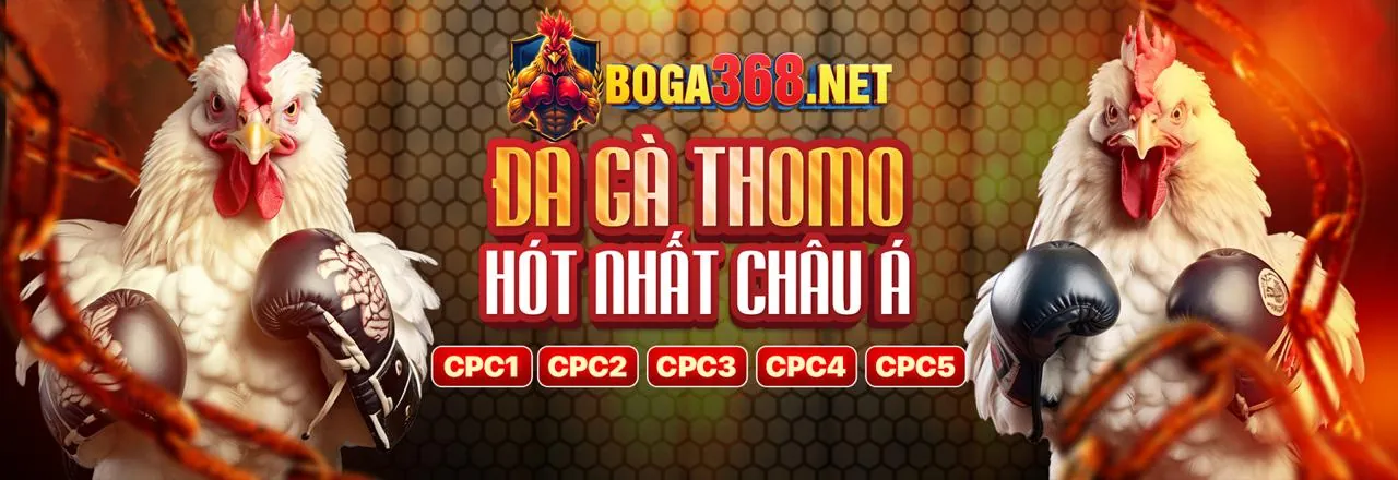 Hướng dẫn chơi an toàn tại mcw1188 casino
