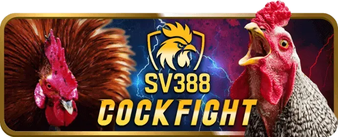 Chơi slot trên điện thoại di động