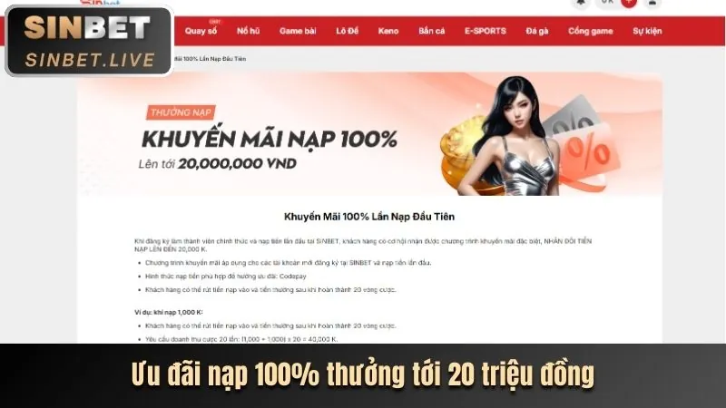 Tổng quan các chương trình khuyến mãi MCW1188